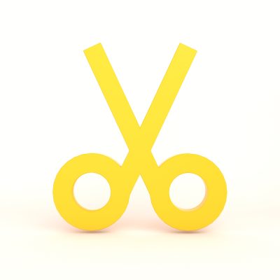 Immigration Consultant